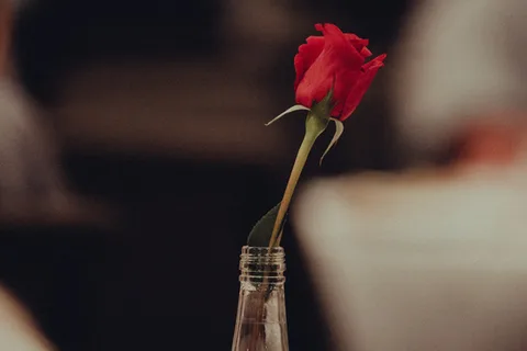 Dinner date escort